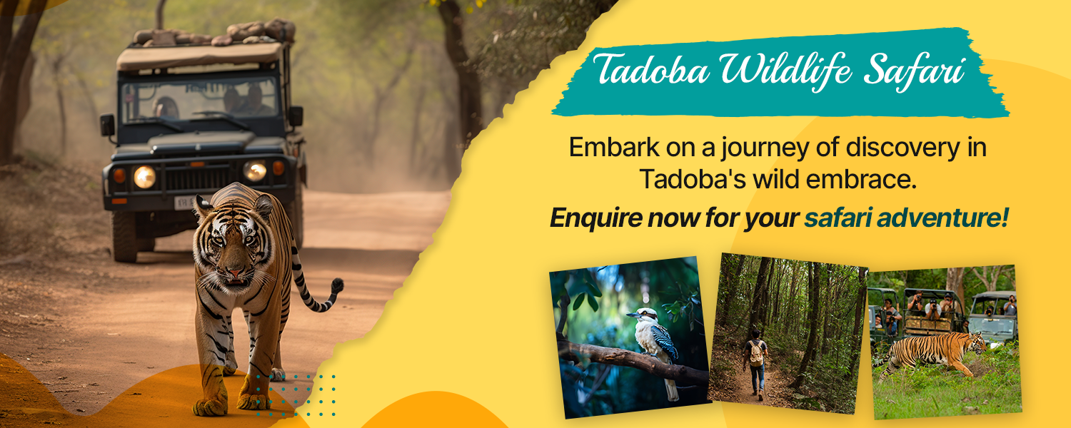 parva-tadoba-baaner-1